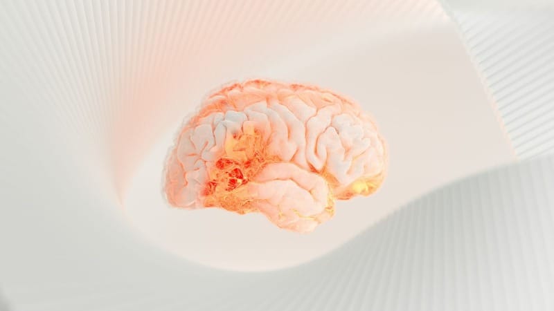Brain's hidden ecosystem: The surprising microbiome