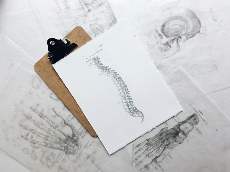 Chiropractic care advantages: Align your body and health