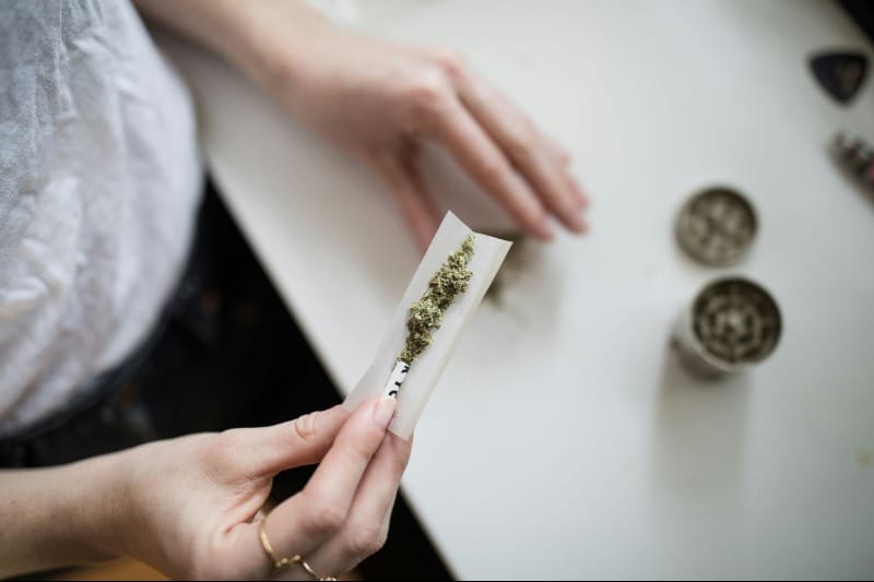 Cannabis and your gut: A double-edged sword revealed